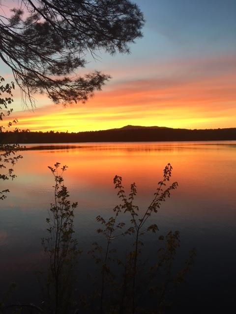 Woodbound Inn Rindge Bagian luar foto